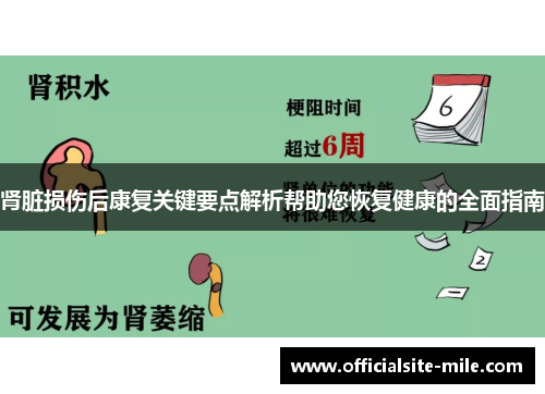 肾脏损伤后康复关键要点解析帮助您恢复健康的全面指南 肾脏损伤后康复关键要点解析帮助您恢复健康的全面指南