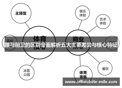腰与前卫的区别全面解析五大主要差异与核心特征 腰与前卫的区别全面解析五大主要差异与核心特征