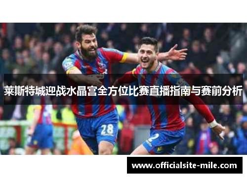 莱斯特城迎战水晶宫全方位比赛直播指南与赛前分析 莱斯特城迎战水晶宫全方位比赛直播指南与赛前分析