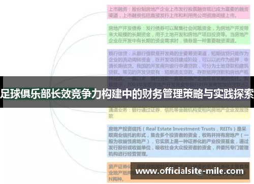 足球俱乐部长效竞争力构建中的财务管理策略与实践探索 足球俱乐部长效竞争力构建中的财务管理策略与实践探索