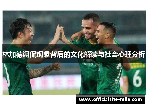 林加德调侃现象背后的文化解读与社会心理分析 林加德调侃现象背后的文化解读与社会心理分析