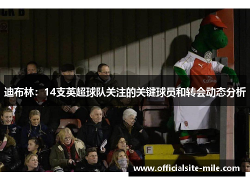 迪布林:14支英超球队关注的关键球员和转会动态分析 迪布林:14支英超球队关注的关键球员和转会动态分析
