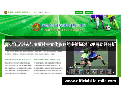 青少年足球参与度受社会文化影响的多维探讨与发展路径分析