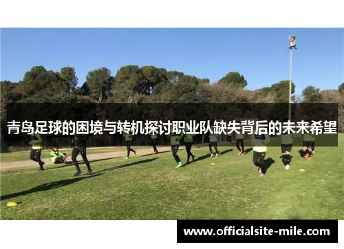 青岛足球的困境与转机探讨职业队缺失背后的未来希望